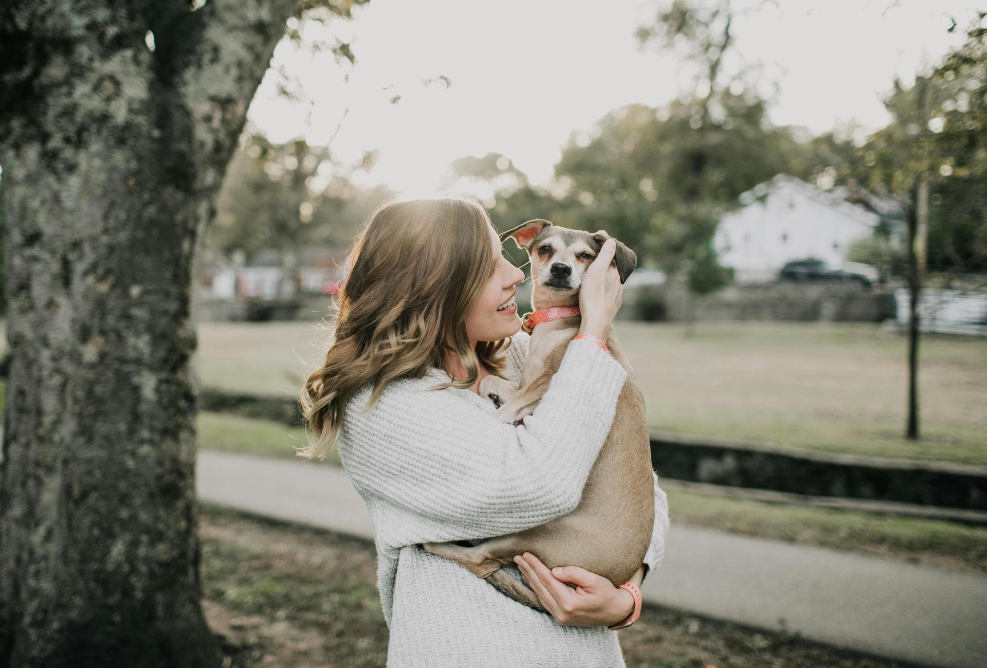 Dog & Cat Vets in New Haven